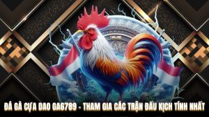 Đá Gà Cựa Dao Ga6789 - Tham Gia Các Trận Đấu Kịch Tính Nhất