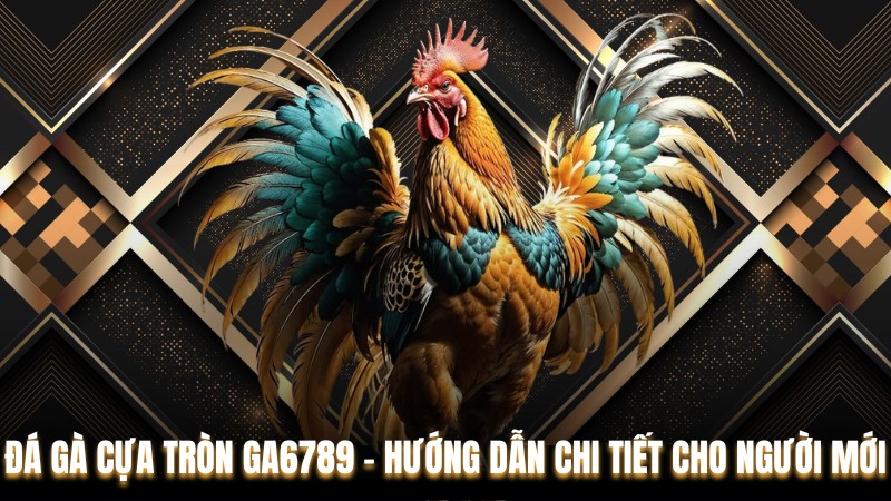 Đá Gà Cựa Tròn Ga6789 – Hướng Dẫn Chi Tiết Cho Người Mới